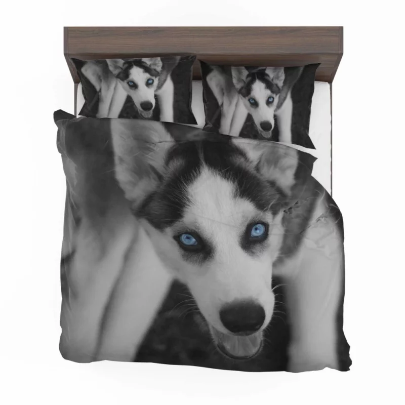 Siberian Husky Arctic Elegance Bedding Set 1