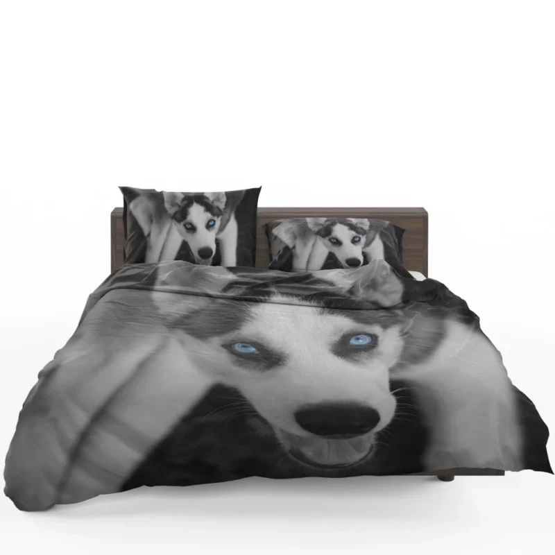 Siberian Husky Arctic Elegance Bedding Set