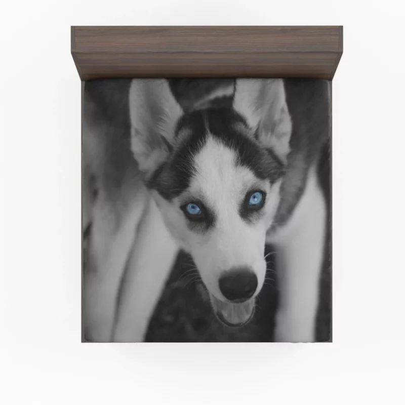 Siberian Husky Arctic Elegance Fitted Sheet 1