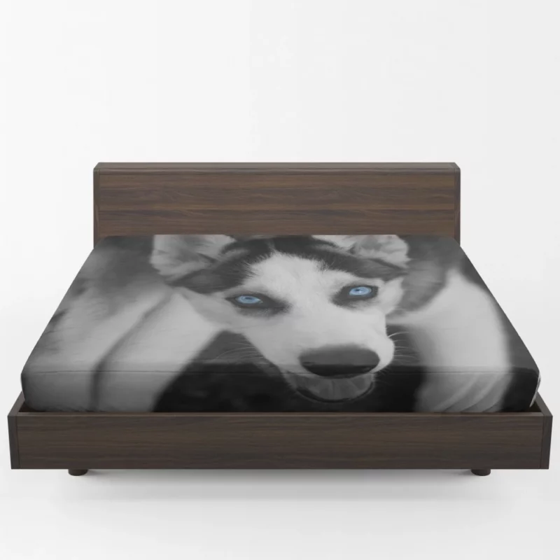 Siberian Husky Arctic Elegance Fitted Sheet