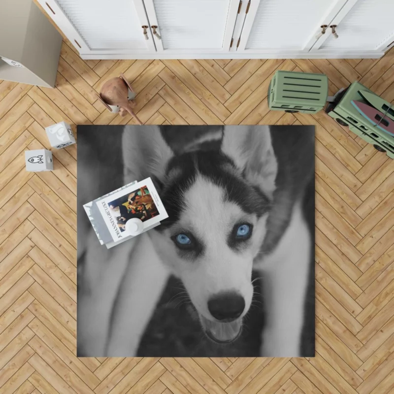 Siberian Husky Arctic Elegance Rug