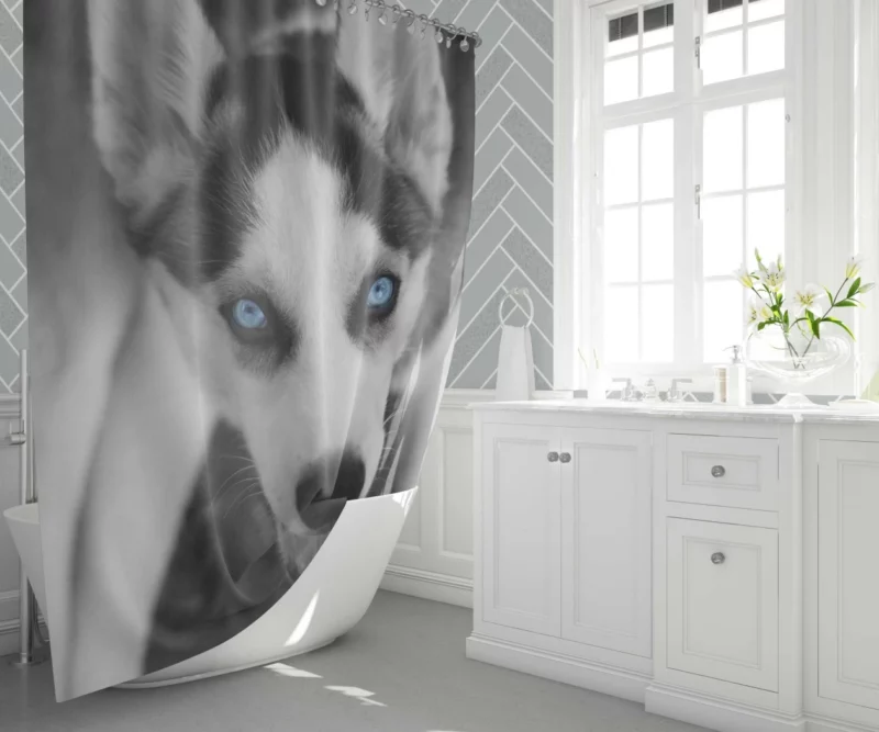 Siberian Husky Arctic Elegance Shower Curtain 1