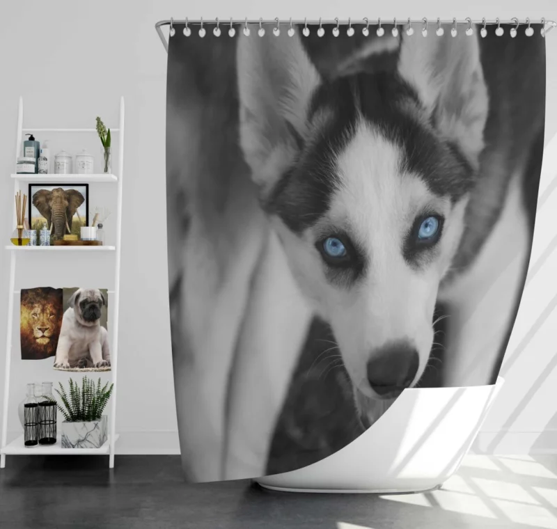 Siberian Husky Arctic Elegance Shower Curtain