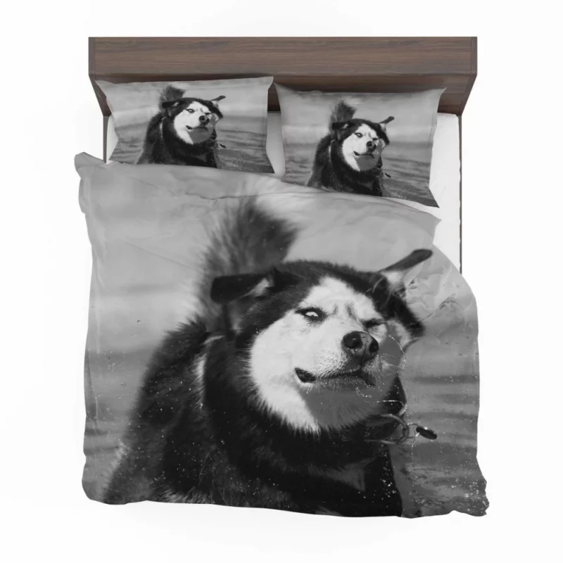 Siberian Husky Black & White Beauty Furry Elegance Bedding Set 1