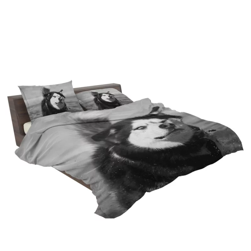 Siberian Husky Black & White Beauty Furry Elegance Bedding Set 2