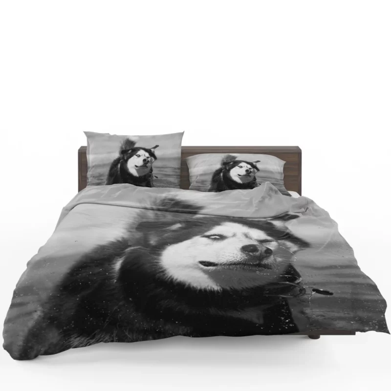 Siberian Husky Black & White Beauty Furry Elegance Bedding Set