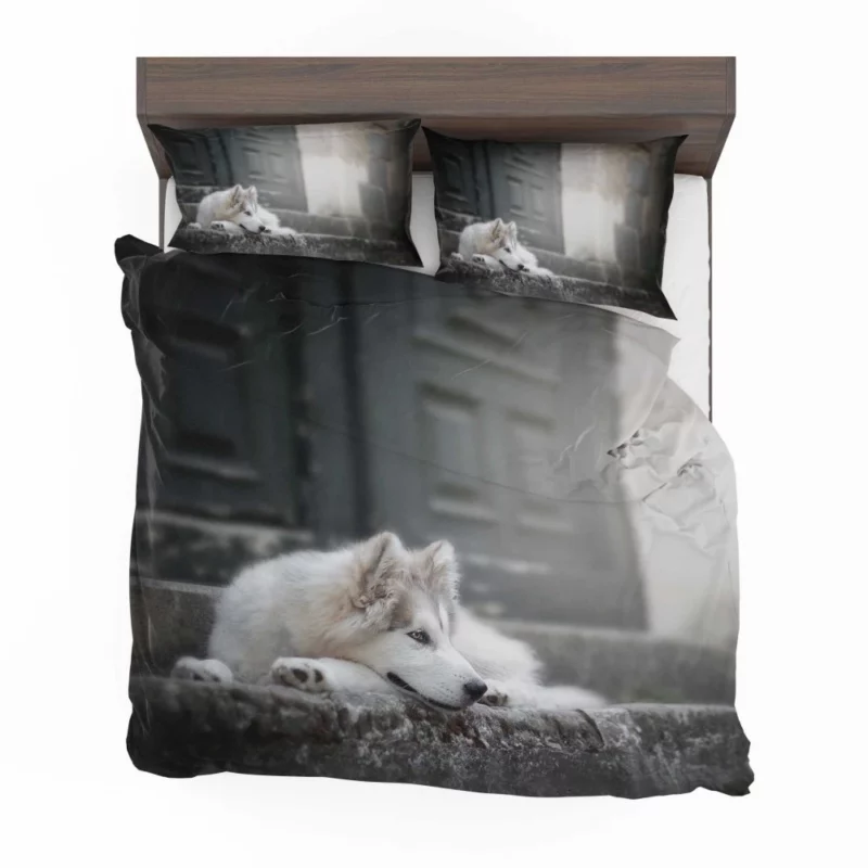 Siberian Husky Majestic Stare Bedding Set 1