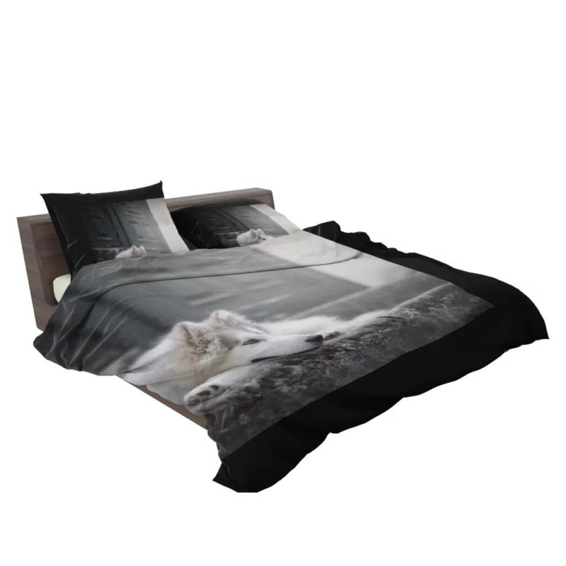 Siberian Husky Majestic Stare Bedding Set 2