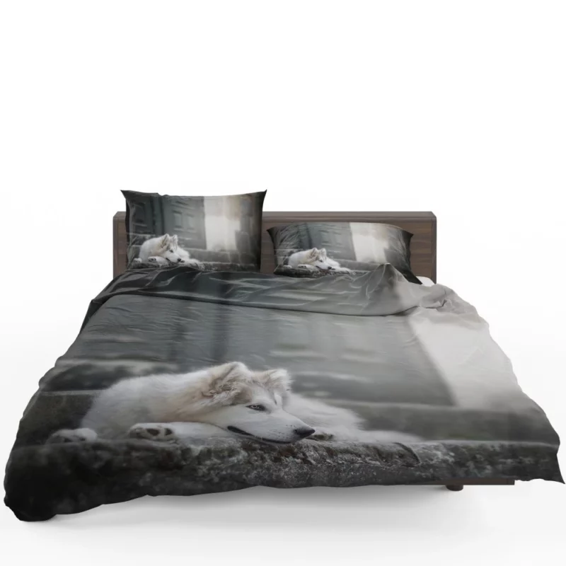 Siberian Husky Majestic Stare Bedding Set