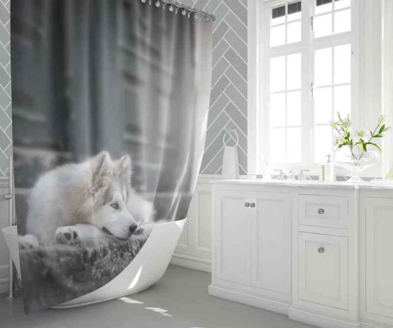 Siberian Husky Majestic Stare Shower Curtain 1