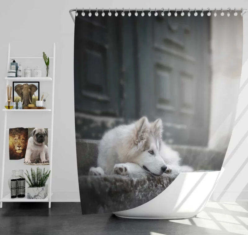 Siberian Husky Majestic Stare Shower Curtain