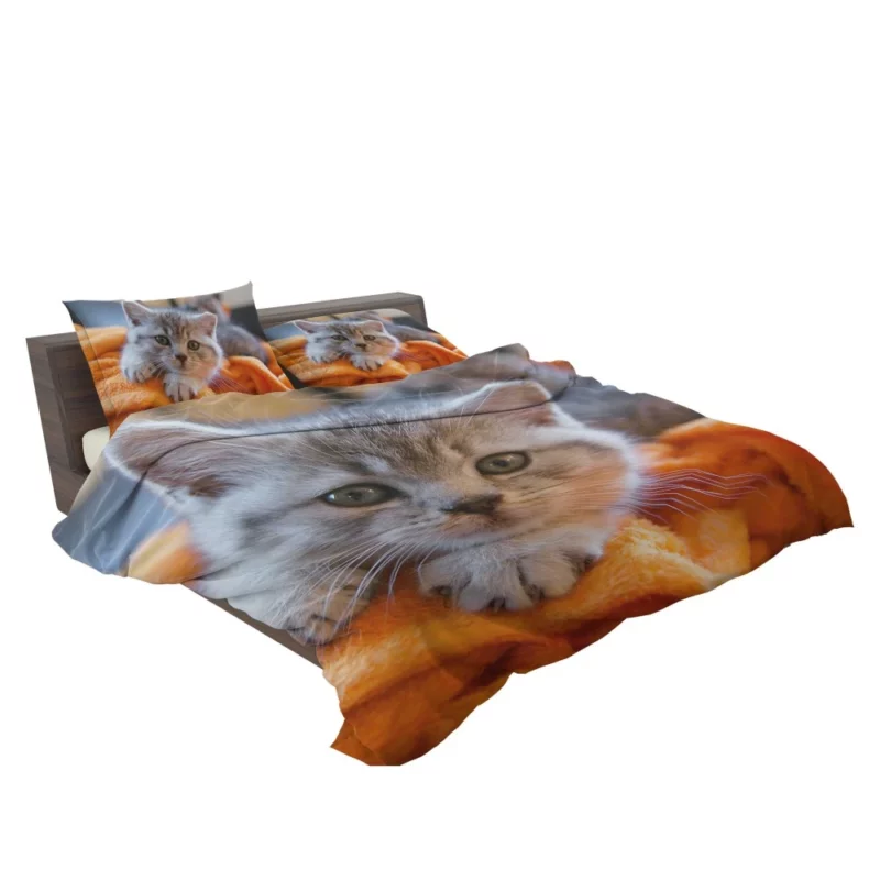 Siberian Husky Snowfall Adventure Bedding Set 2