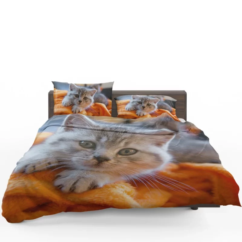 Siberian Husky Snowfall Adventure Bedding Set