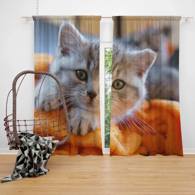 Siberian Husky Snowfall Adventure Curtain