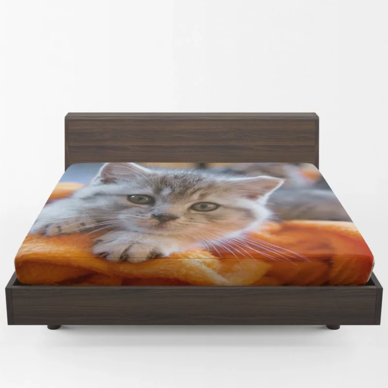 Siberian Husky Snowfall Adventure Fitted Sheet