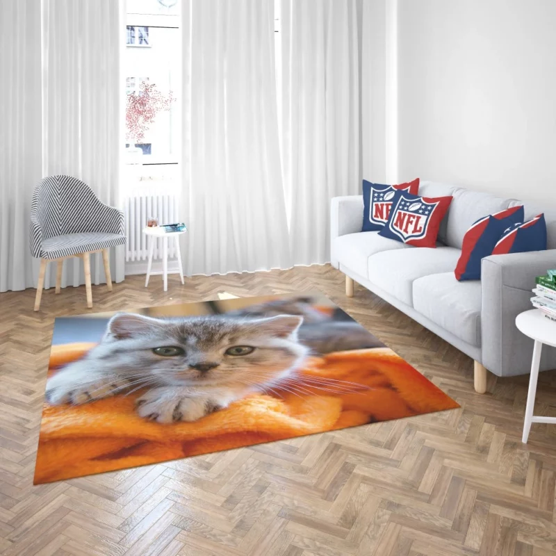 Siberian Husky Snowfall Adventure Rug 2