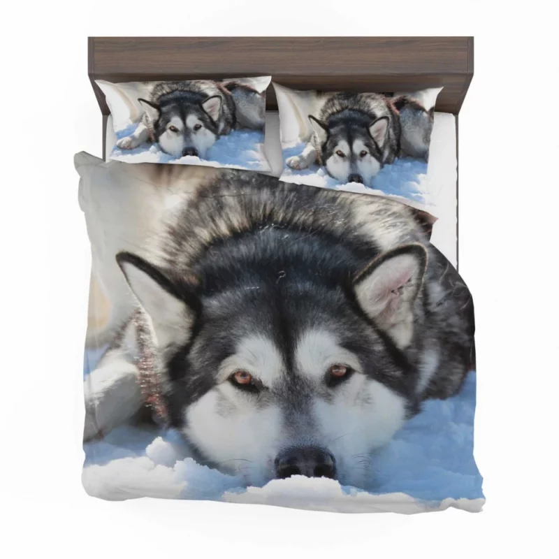 Siberian Husky in Snowfall Serenity Bedding Set 1