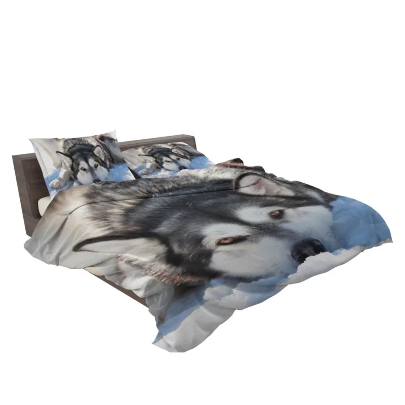 Siberian Husky in Snowfall Serenity Bedding Set 2