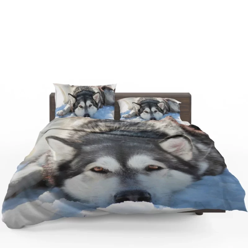 Siberian Husky in Snowfall Serenity Bedding Set