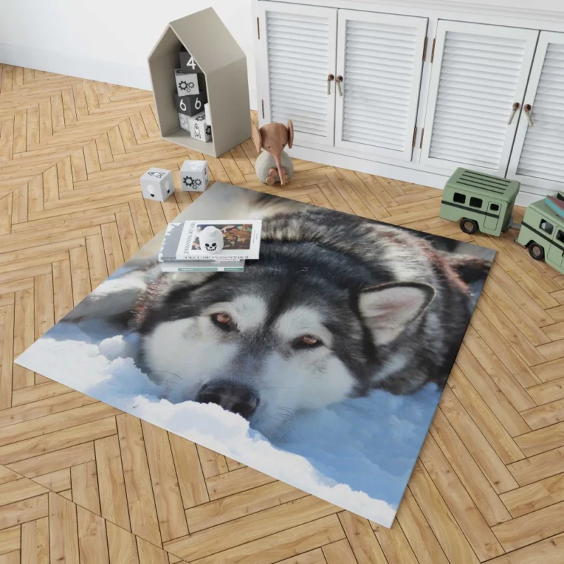 Siberian Husky in Snowfall Serenity Rug 1