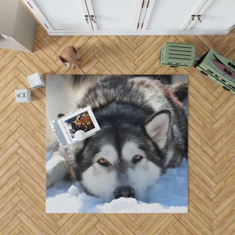 Siberian Husky in Snowfall Serenity Rug