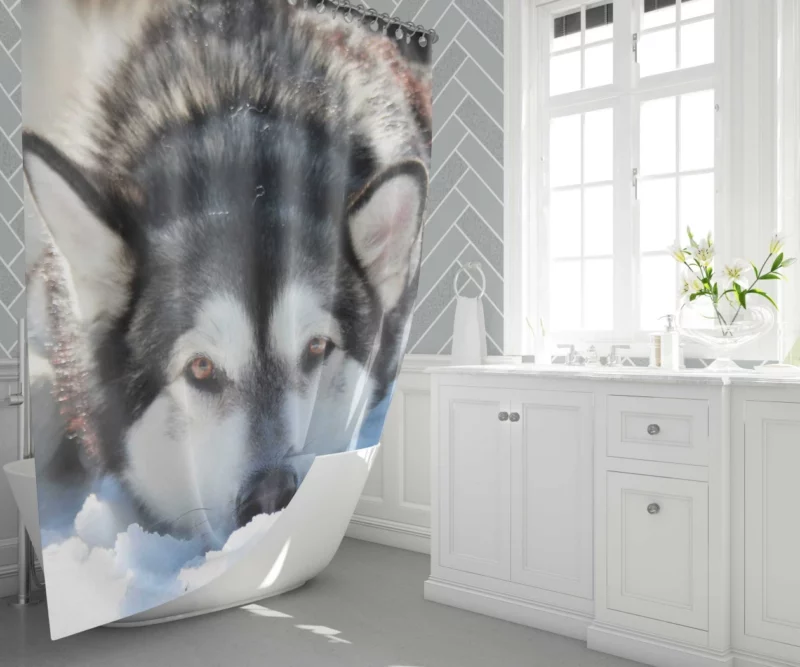 Siberian Husky in Snowfall Serenity Shower Curtain 1