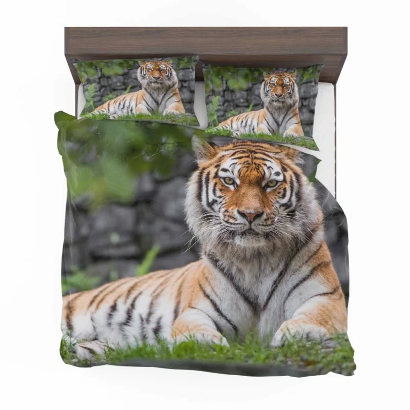 Siberian Tiger Fierce Female of the Zoo Bedding Set 1