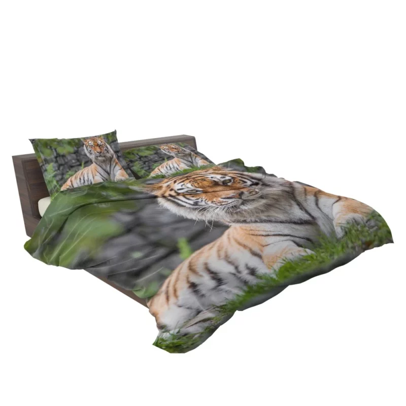 Siberian Tiger Fierce Female of the Zoo Bedding Set 2