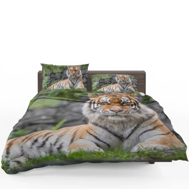 Siberian Tiger Fierce Female of the Zoo Bedding Set