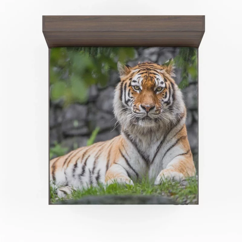 Siberian Tiger Fierce Female of the Zoo Fitted Sheet 1