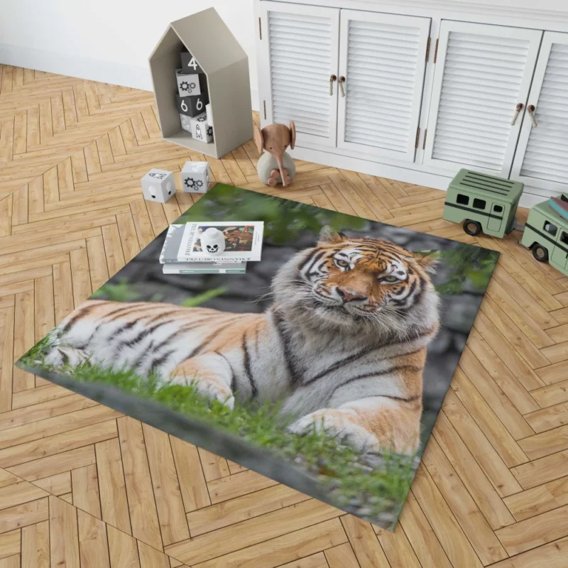 Siberian Tiger Fierce Female of the Zoo Rug 1