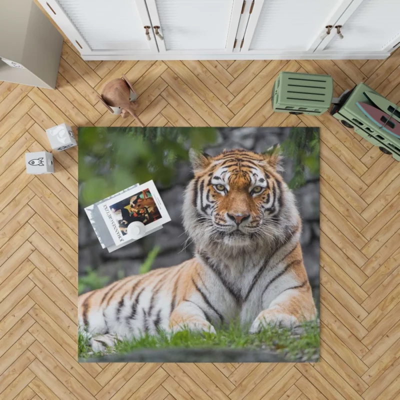 Siberian Tiger Fierce Female of the Zoo Rug