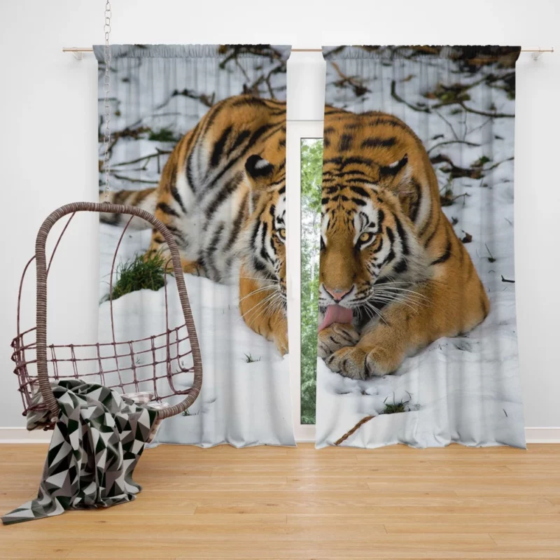 Siberian Tiger Snowy Majesty Curtain