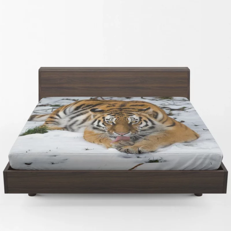 Siberian Tiger Snowy Majesty Fitted Sheet