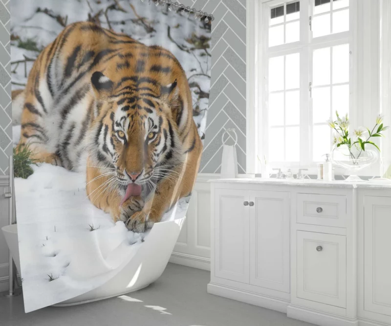 Siberian Tiger Snowy Majesty Shower Curtain 1