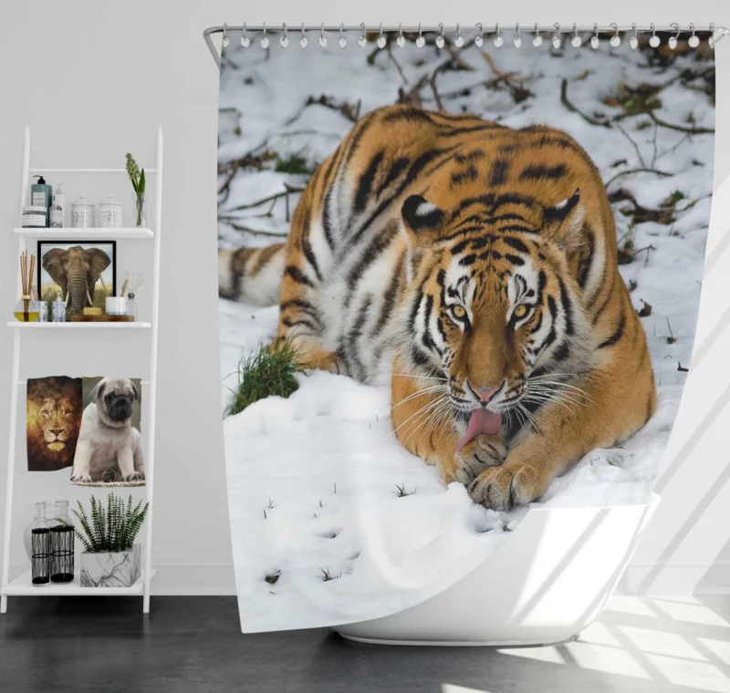 Siberian Tiger Snowy Majesty Shower Curtain