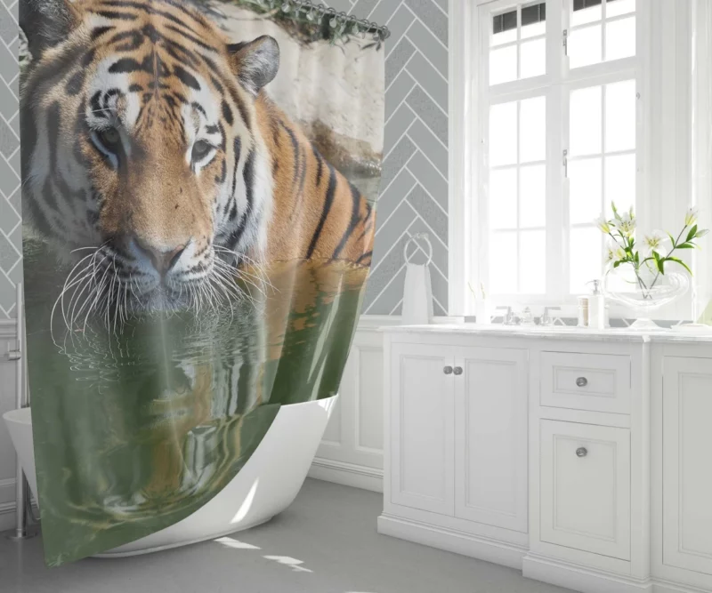 Siberian Tiger Winter Refreshment Shower Curtain 1