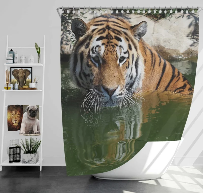 Siberian Tiger Winter Refreshment Shower Curtain