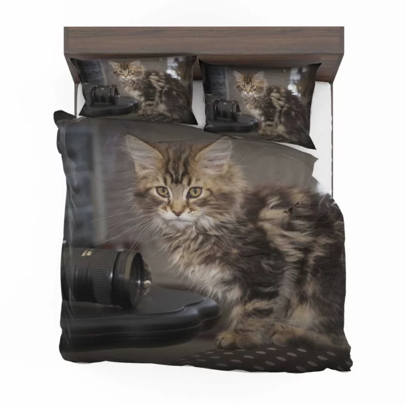 Silent Cat Observer Bedding Set 1