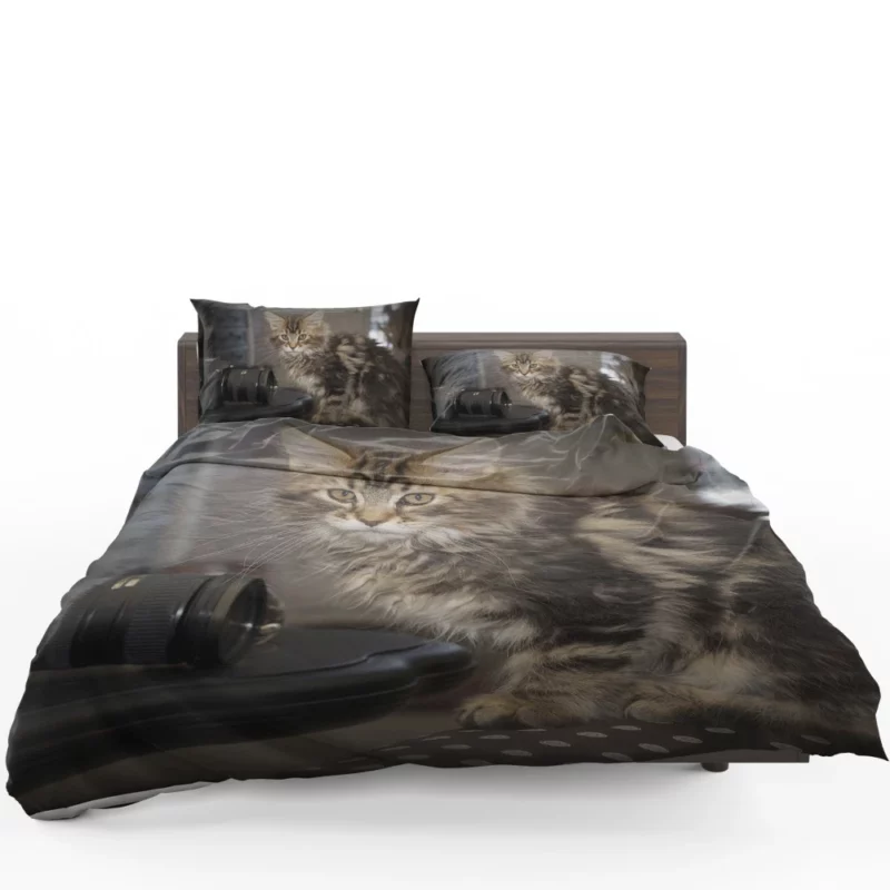 Silent Cat Observer Bedding Set