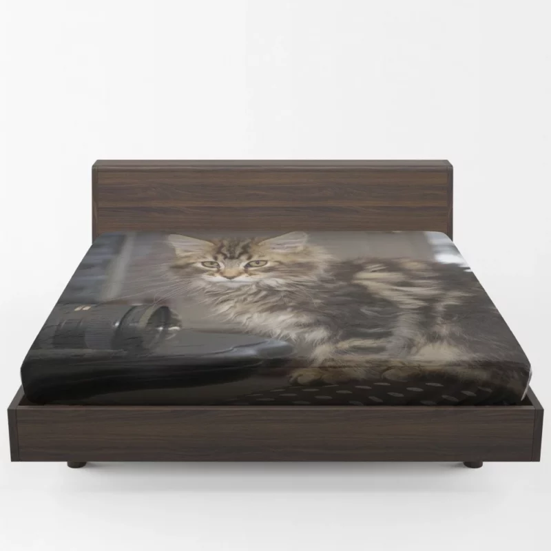 Silent Cat Observer Fitted Sheet