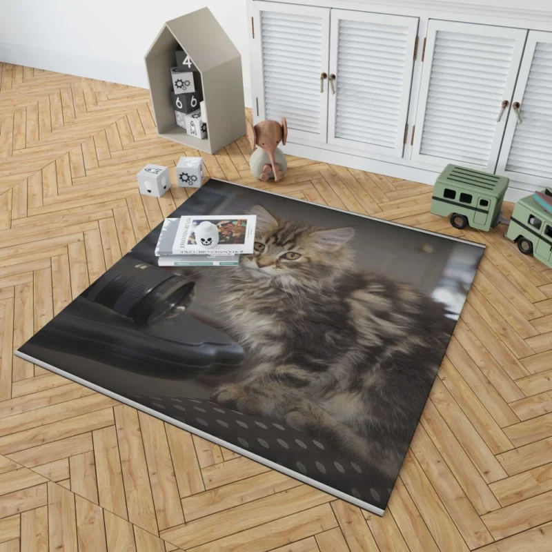 Silent Cat Observer Rug 1