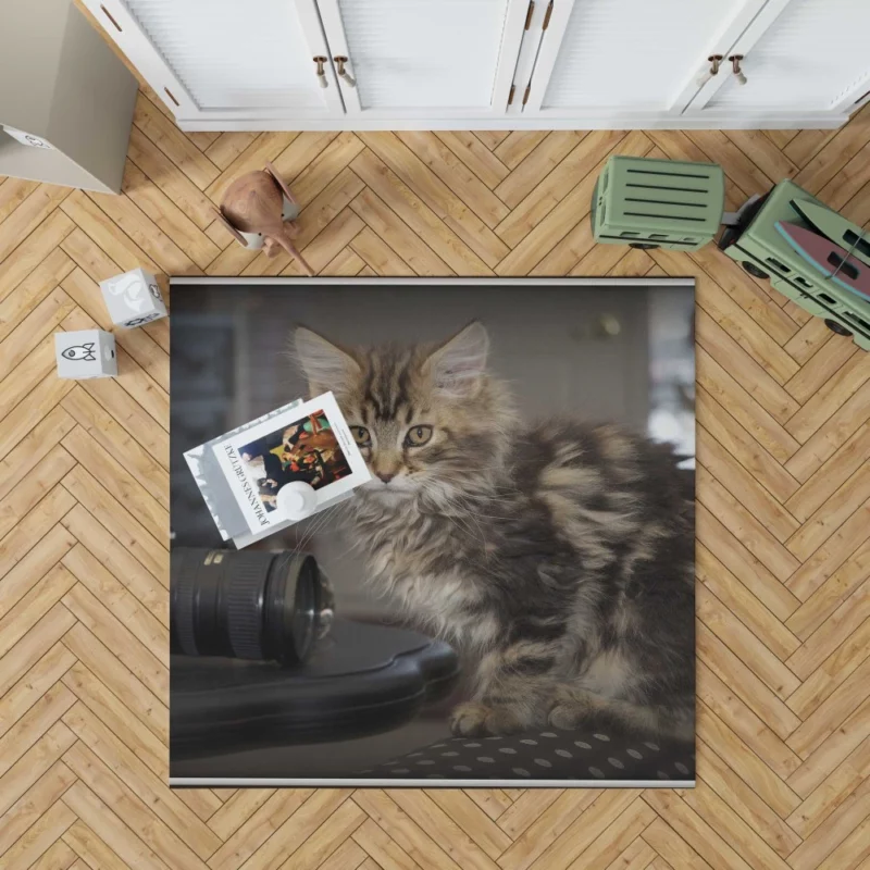 Silent Cat Observer Rug