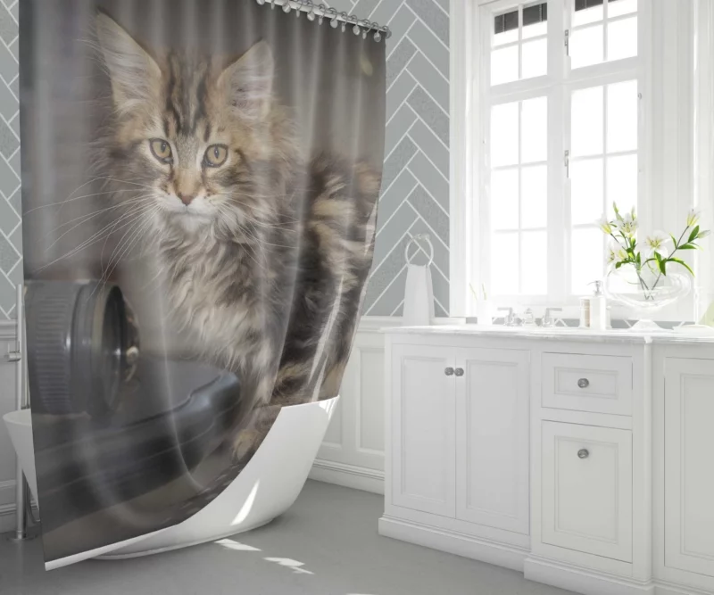 Silent Cat Observer Shower Curtain 1