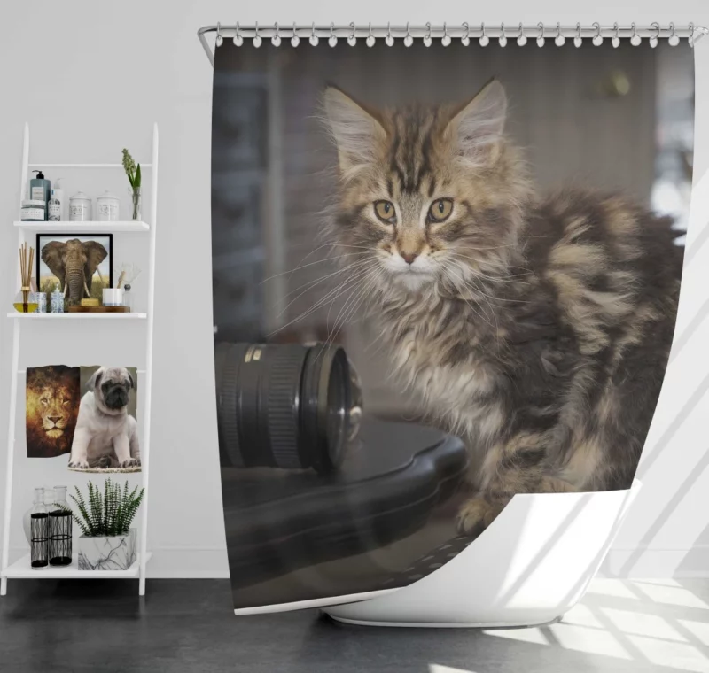 Silent Cat Observer Shower Curtain