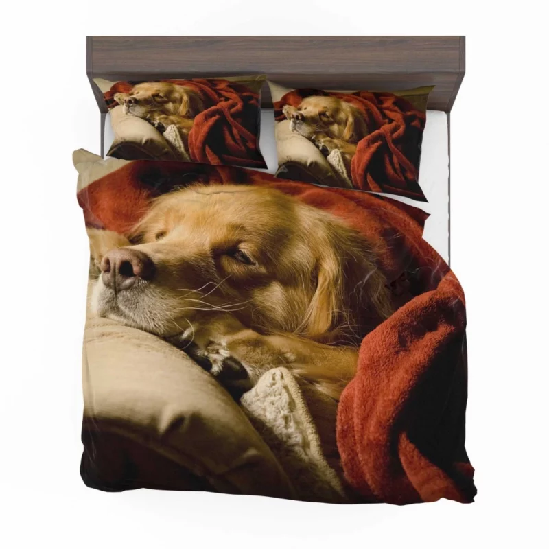 Sleeping Golden Retriever Tranquil Slumber Bedding Set 1