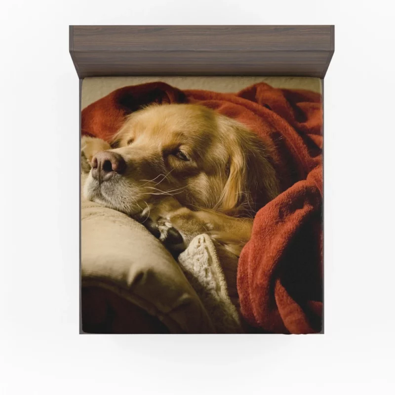 Sleeping Golden Retriever Tranquil Slumber Fitted Sheet 1