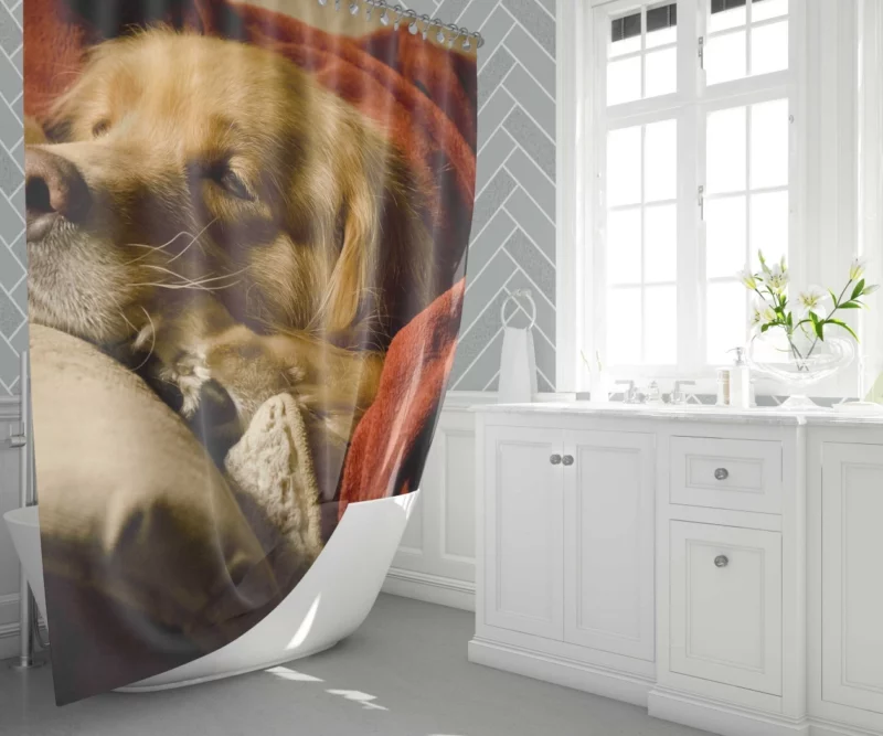 Sleeping Golden Retriever Tranquil Slumber Shower Curtain 1