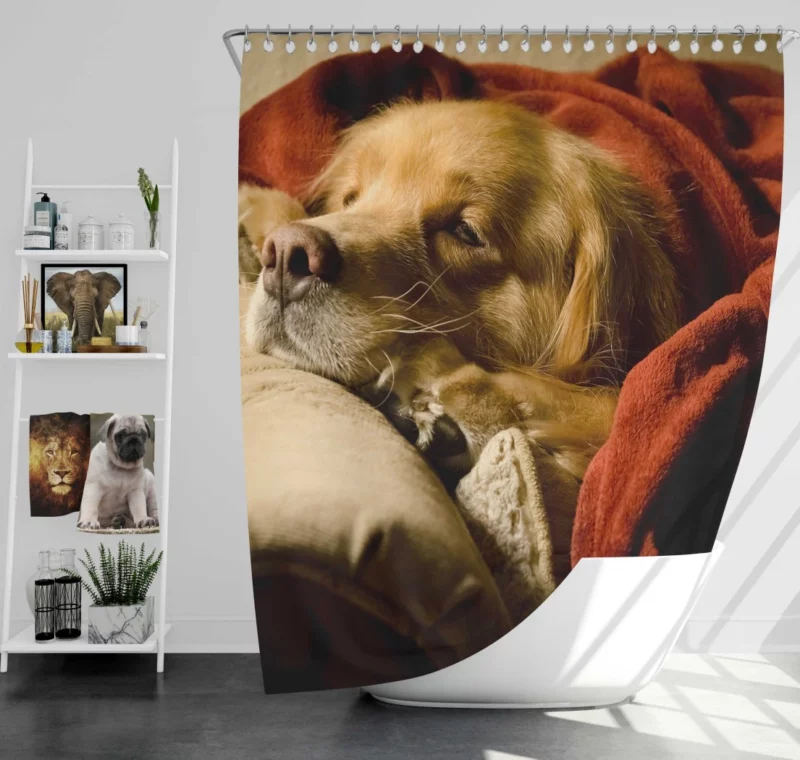 Sleeping Golden Retriever Tranquil Slumber Shower Curtain