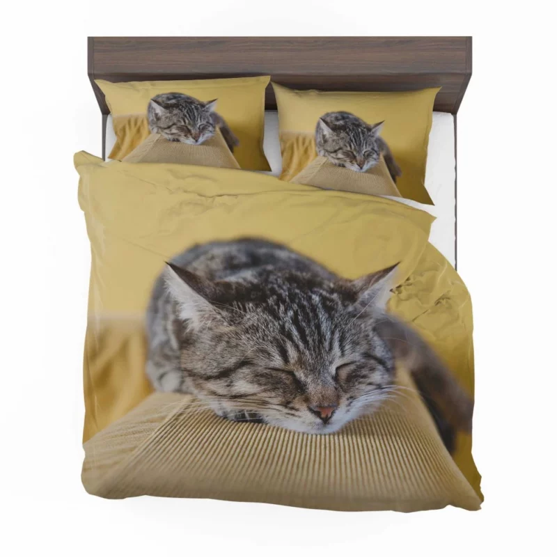 Sleeping Kitten Dreamy Repose Bedding Set 1